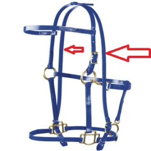 Bit Hanger For XT